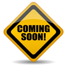 Записна книжка 'Віннер Плюс' А5 Mem'O! ТМ