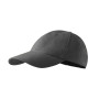 castor grey
