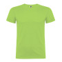 oasis green